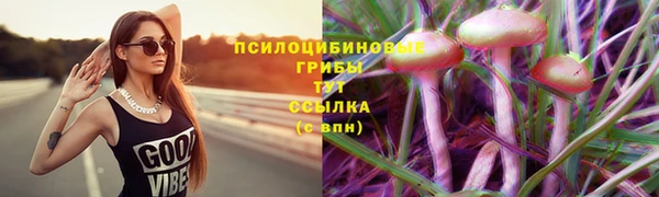 spice Киренск