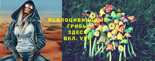 spice Киренск