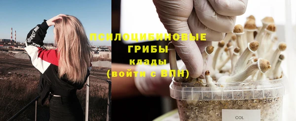 spice Киренск